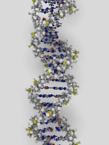 dna_1