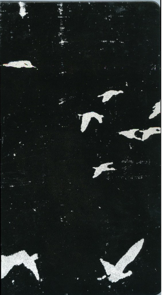 Sigur Rós, müzik grubu, İzlanda