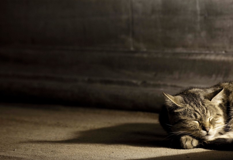 tumblr_mm6i46fxIZ1soaffdo1_1280