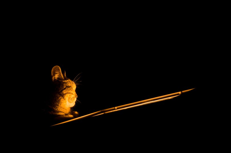 tumblr_mm6oam4fQR1soaffdo1_1280