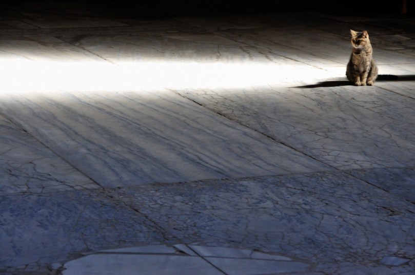 tumblr_mm6ojfpiNC1soaffdo1_1280