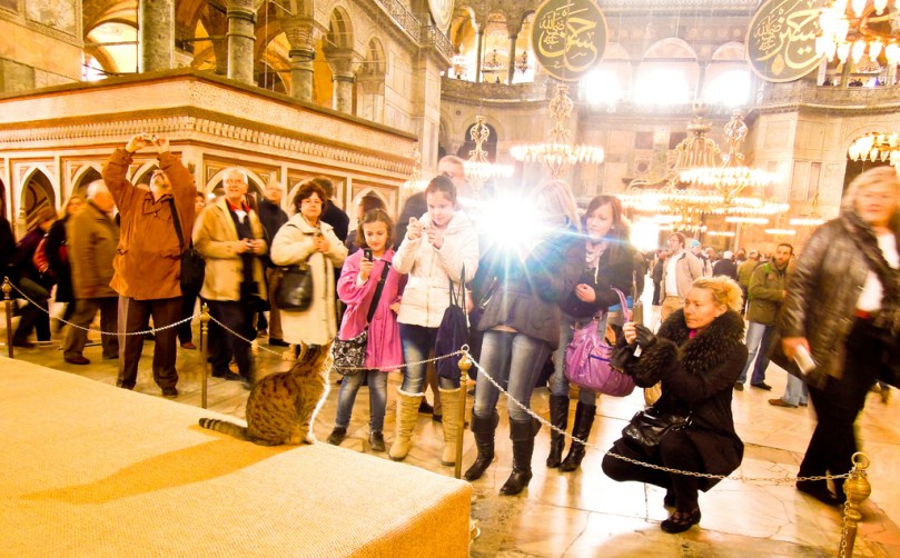 tumblr_mm6olgxAqV1soaffdo1_1280