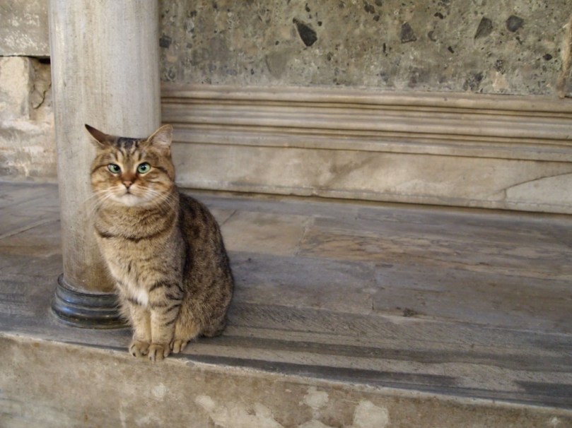 tumblr_mm6oug9uC31soaffdo1_1280