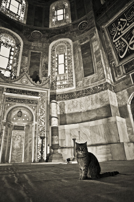 tumblr_mm8dxwkq5y1soaffdo1_1280