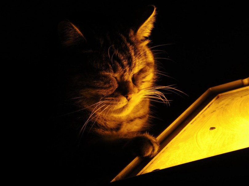 tumblr_mm8hp96gQF1soaffdo1_1280