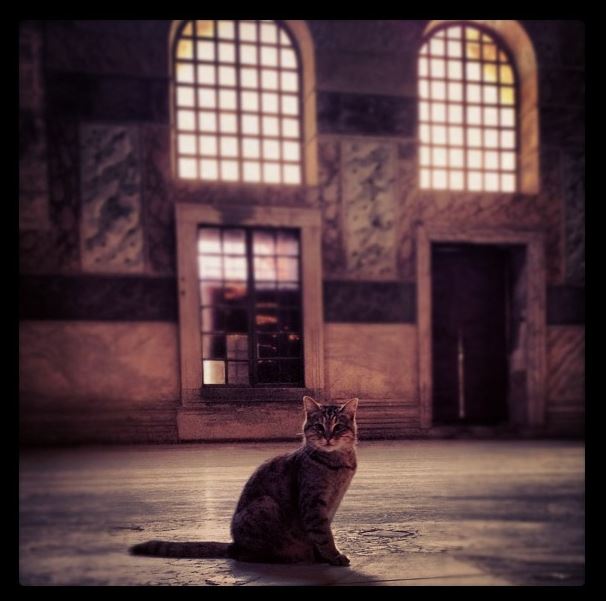 tumblr_mwinyz86e31soaffdo1_1280