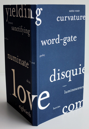 29-5120-Word-Gate_Cover.