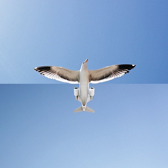 funny-photo-mashup-combo-stephen-mcmennamy-3