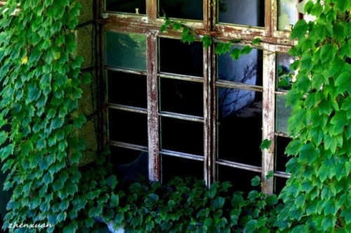 doganin-ele-gecirdigi-terk-edilmis-cin-koyu-gouqi-island-13