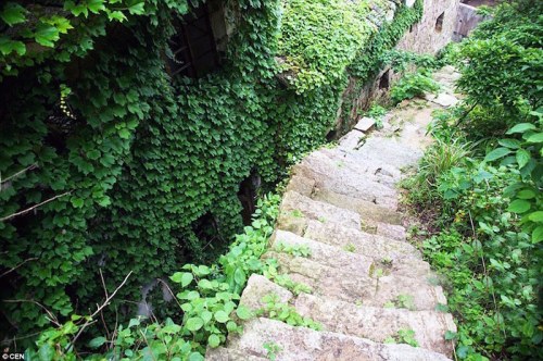 doganin-ele-gecirdigi-terk-edilmis-cin-koyu-gouqi-island-6